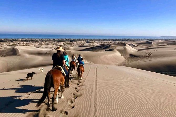 Private Shore Excursion From Valparaiso: Beach Horseback Ride & Viña Del Mar - Good To Know