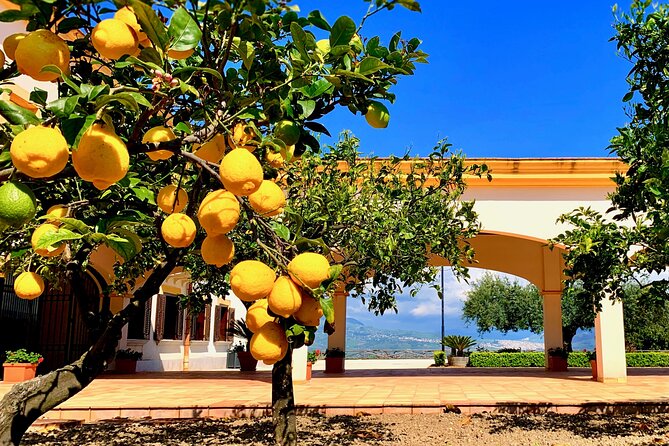 PRIVATE SICILY COUNTRYSIDE Exclusive Tour With Local Guide Starts From Palermo