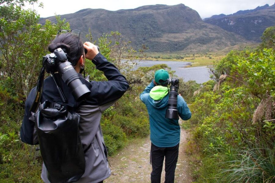 Private Sight Tour Chingaza Paramo From Bogota, Andean Bear - Good To Know