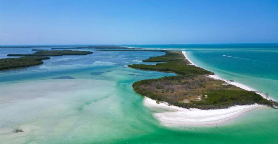 Private Snorkeling & Watersports- St Pete & St Pete Beach