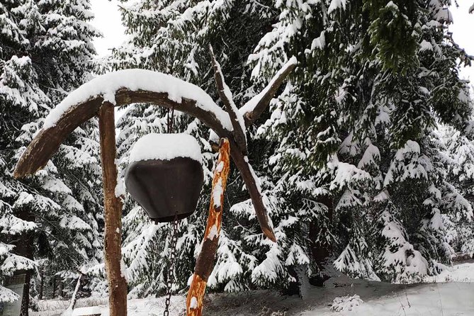 Private Snowshoeing Vitosha for 1 Day