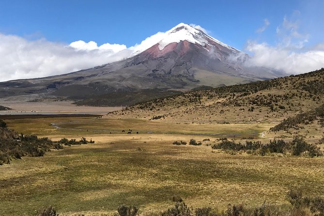 Private Tour Cotopaxi