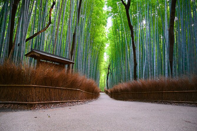 Private Tour - Feel the History of Kyoto! Arashiyama Perfect Tour