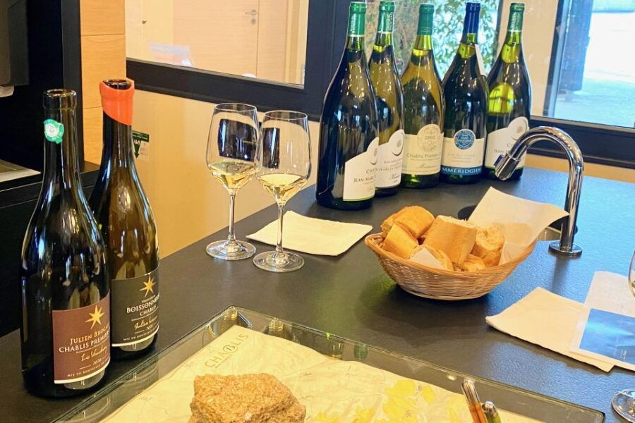 Private Tour From Paris to Chablis, 4 Domains, 20 Wines - Tour Highlights