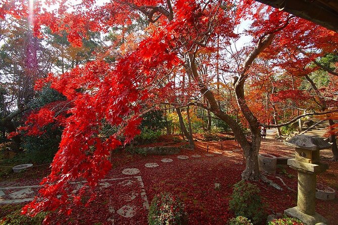 Private Tour in Hidden Christian Village and Japan Countryside