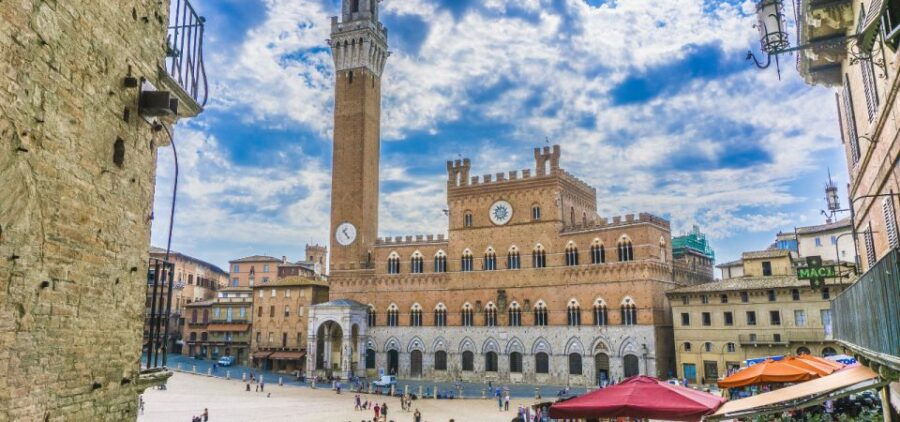 Private Tour of Chianti, Siena and San Gimignano by Minivan - Driver and Group Experience