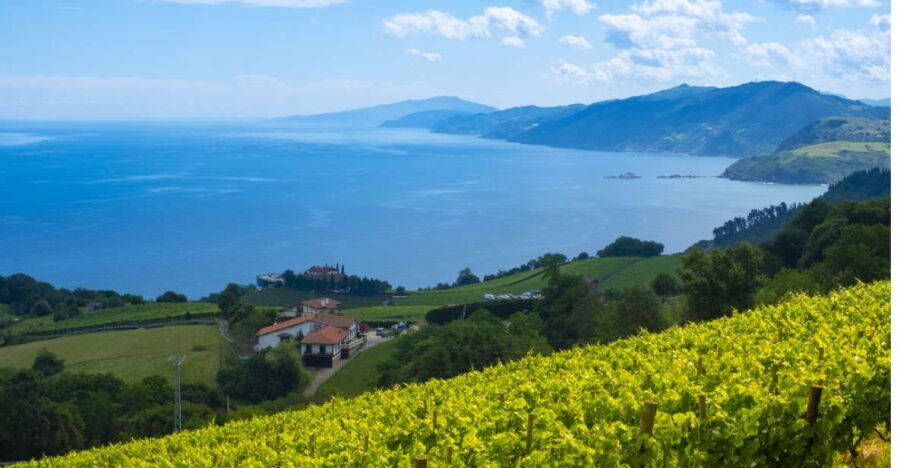 Private Tour of San Sebastian and Getaria W/ Txakoli Tasting