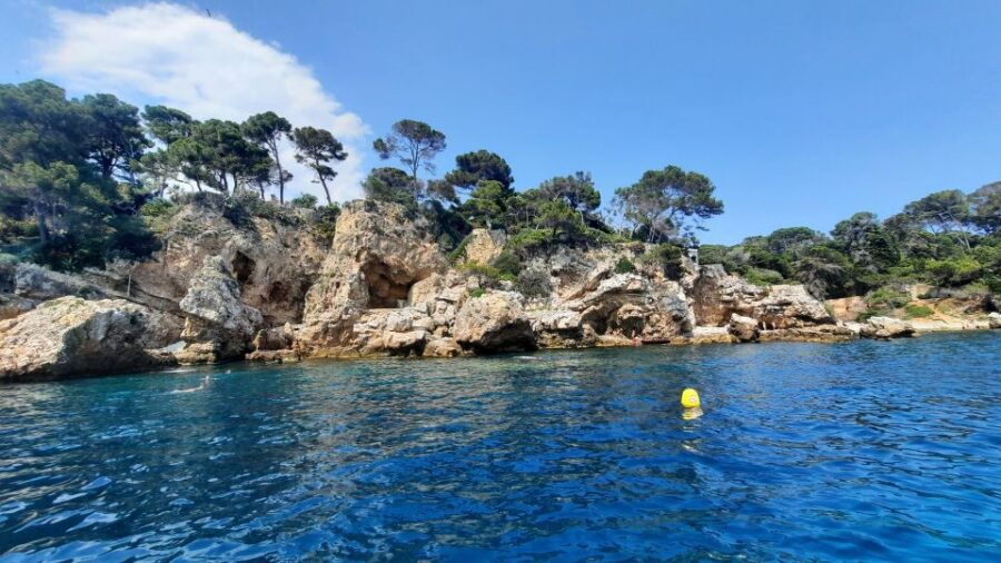 Private Tour on a Sailboat - Swim and Paddle - Antibes Cape - Good To Know