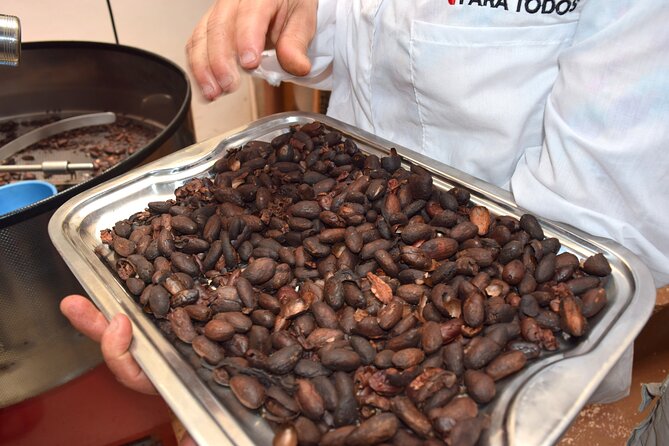 Private Tour: Peacebuilding in Antioquia – From Coca Fields to Cocoa!