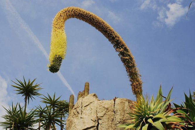 Private Tour: Personal Travel Photographer Tour in Monaco