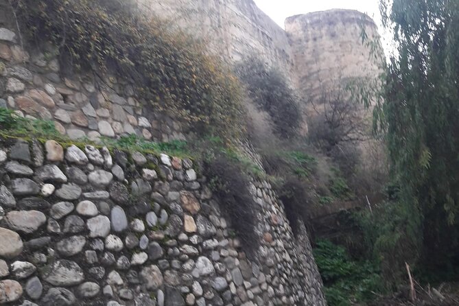 Private Tour Roman Granada (Florentia)