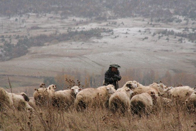 Private Tour to Kazbegi From Tbilisi - Good To Know