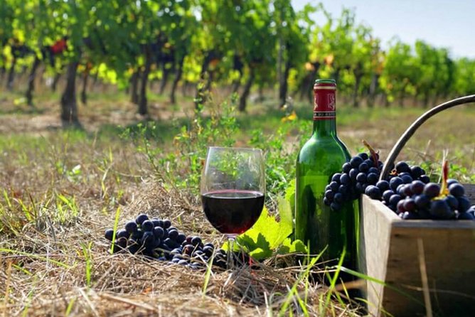 Private Tour to Khor Virap, Areni Winery, Noravank