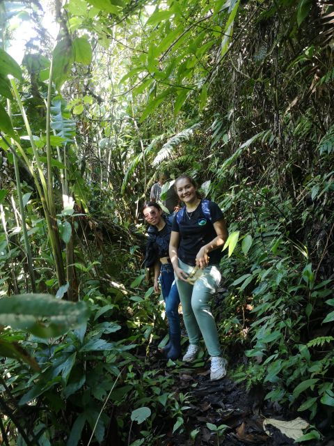 Private Tour to La Gaitana Archaeological Park in Quinchana - Activity Details
