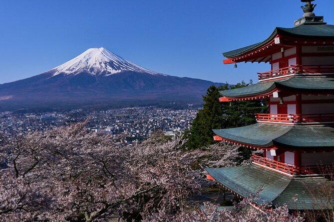 Private Tour to Mount Fuji With an English Driver From Tokyo