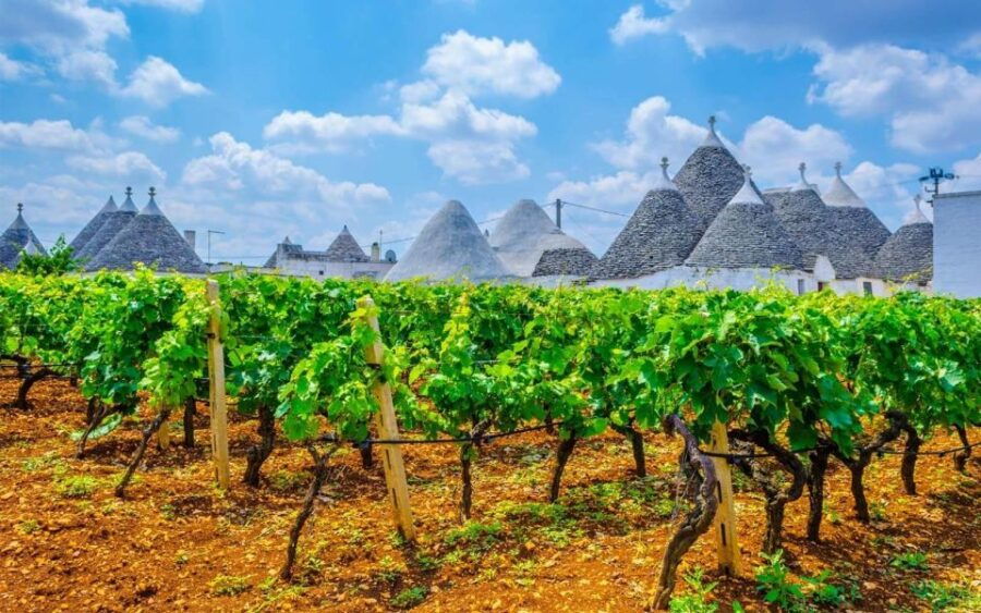 Private Tour to Ostuni, Alberobello, Locorotondo & Winery - Itinerary