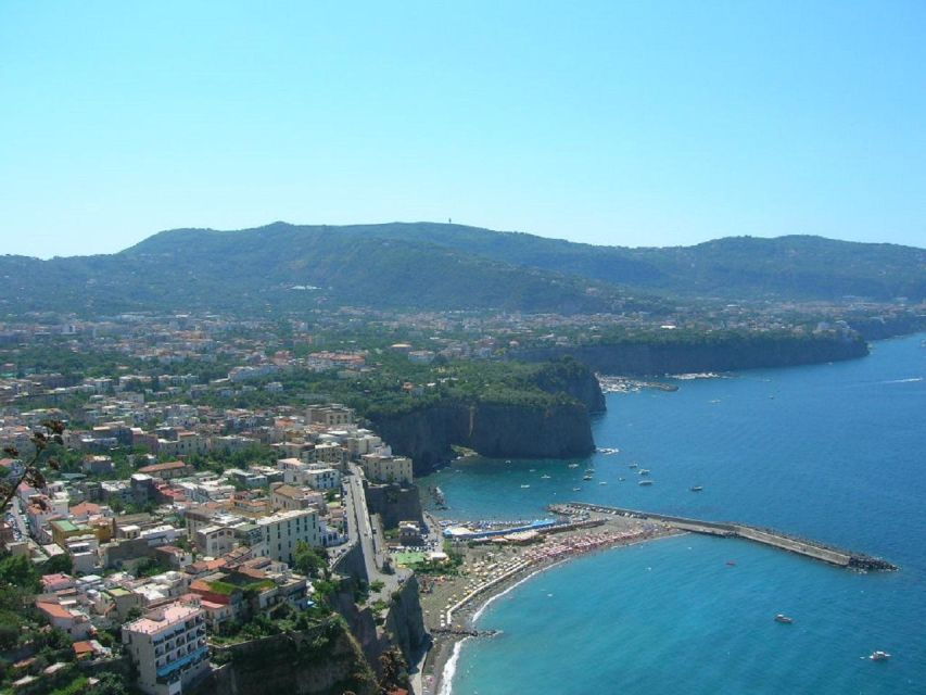 Private Transfer by Car From Sorrento to Naples. - Driver and Cancellation Policy