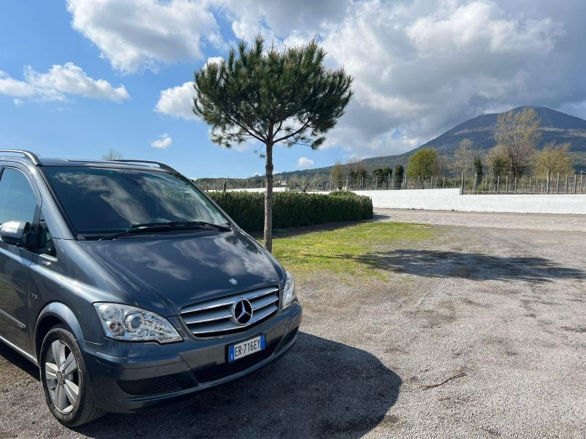 Private Transfer From Naples to Salerno - Service Details