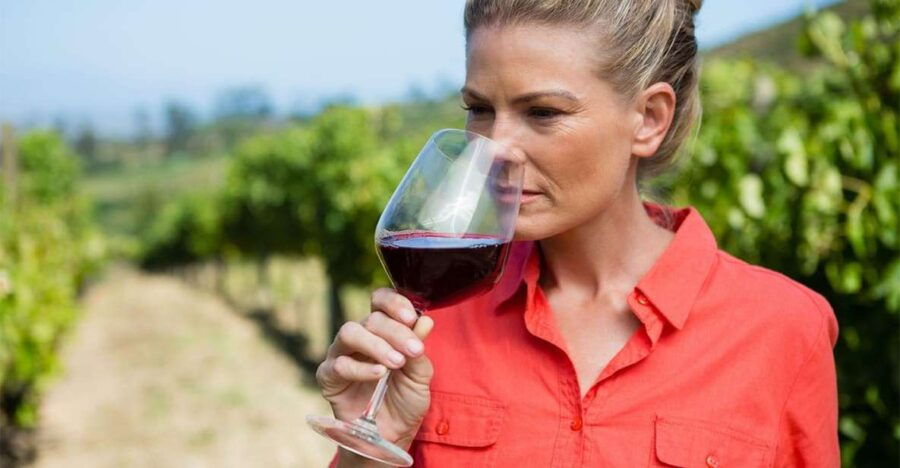 Private Transfer From Positano to Naples Stop at the Winery - Important Information