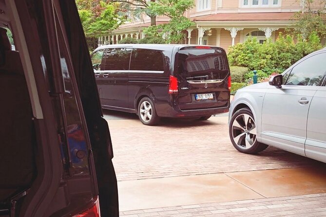 Private Transfer From Roissy CDG Airport to Disneyland Paris - Good To Know