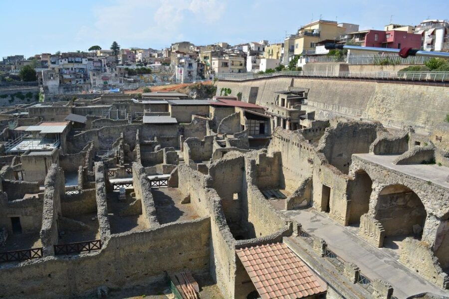 Private Transfer From Sorrento to Naples Stop Herculaneum - Inclusions and Exclusions