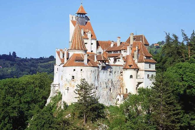 PRIVATE Trip to Draculas Castle and Peles Castle From Bucharest - Good To Know