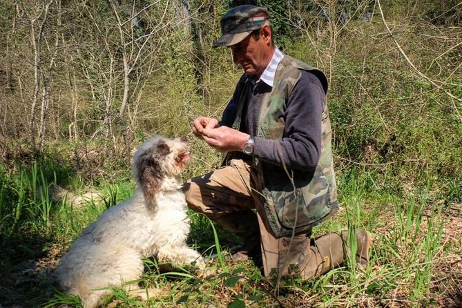 Private Truffle Hunt in Tuscany From Florence - Good To Know