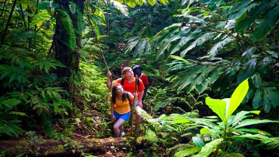 Private Waterfall, Rainforest & Handcrafted Chocolate Tour - Good To Know