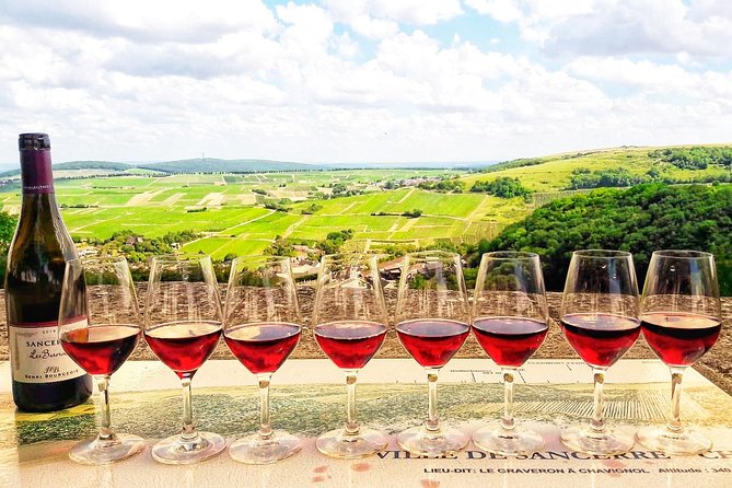 Private Wine & Cheese Tour to Loire Valley Vineyards From Paris