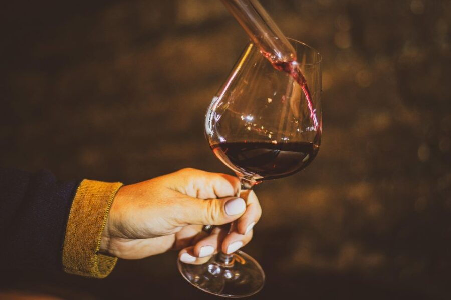 Private Wine Tour in Côte De Nuits and Côte De Beaune - Tour Highlights