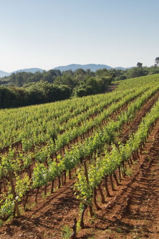 Provence Wine Tour – Private Tour From Nice