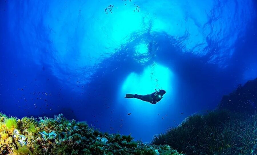 Puerto De Soller: Train and Guided Scuba Diving Experience