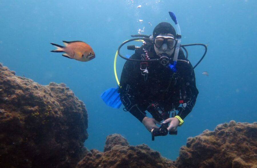 Puerto Del Carmen: Guided Scuba Dive (Certified Only) - Good To Know