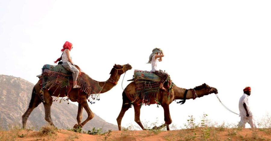 3 Best Safari Tours In Pushkar