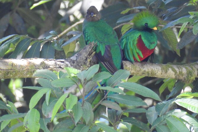 Quetzal Tour on Lake Atitlan