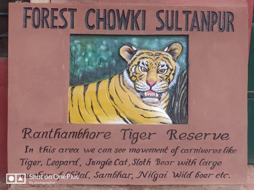 Ranthambore Tiger Safari Day Trip From Jaipur -All Inclusive - Itinerary