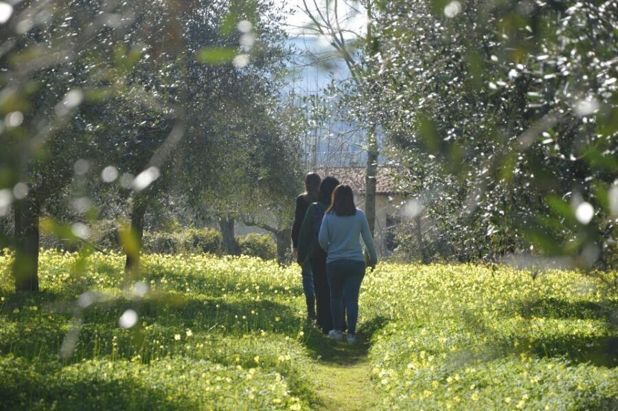 Reconnecting With Earth – a Hands-On Countryside Experience - Good To Know
