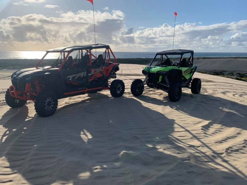 Reedsport: 1-Hour ATV or UTV Rental With 9 Model Options - Vehicle Selection and Highlights