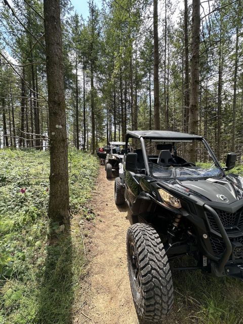 Rent SSV - Guidance and Support