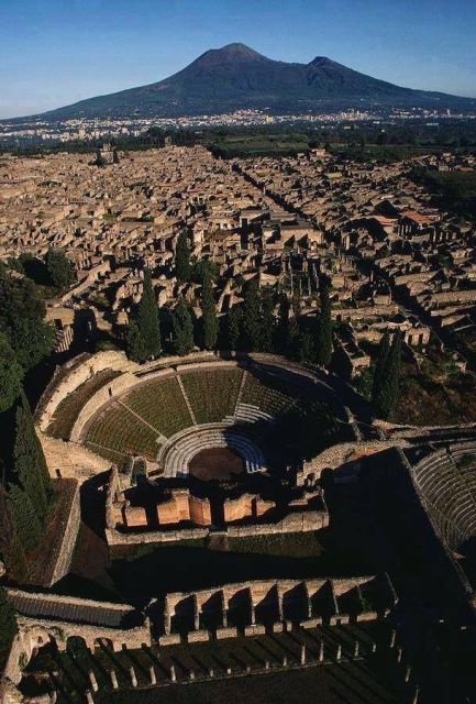 Return Transfer From Naples Cruise Port to Pompeii - Pompeii Visit Experience