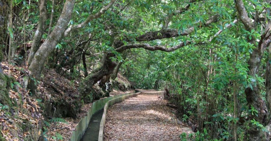 Ribeiro Frio – Portela – Levada Do Furado
