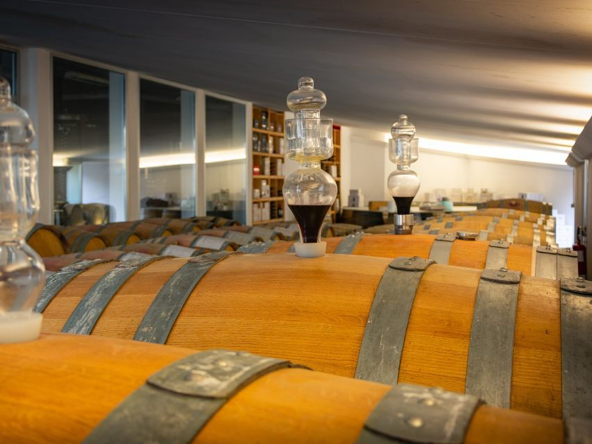 Rimini: San Valentino Vineyards Tour With DOC Wine Tastings - Tour Details