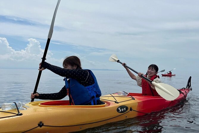2 Best Canoe And Kayak Experiences In Aomori Prefecture