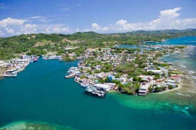 Roatan Zipline Adventure, Sloths & Monkeys,Chocolate Factory Tour