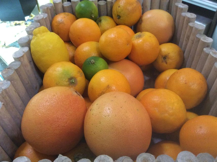 Roman Vegetarian Food Tour