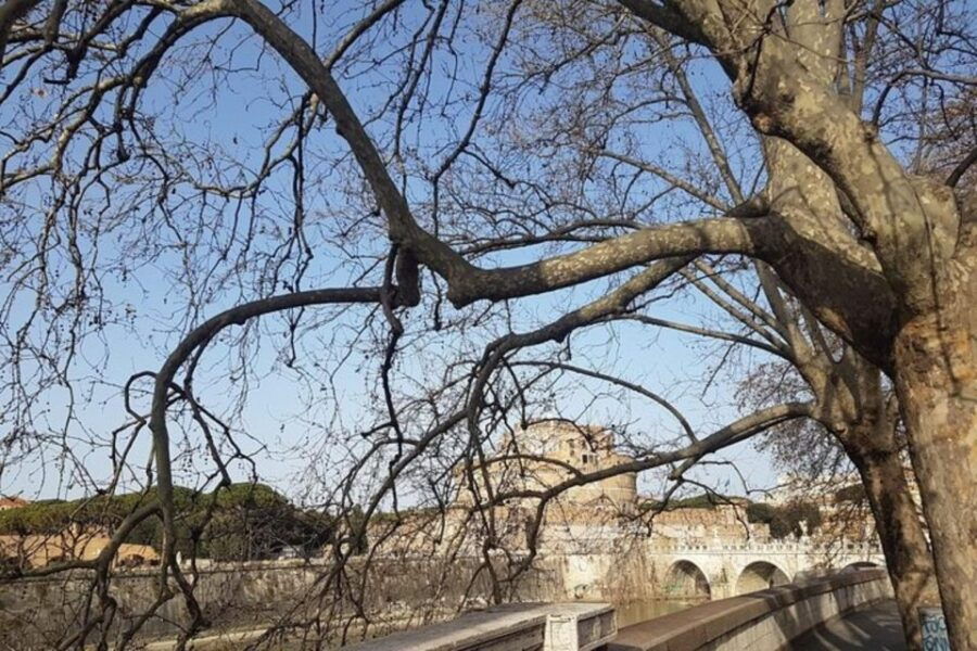 Rome Baroque: Fountains and Squares Private Walking Tour - Good To Know