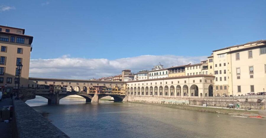 Rome to Florence Private Transfer - Vehicle and Driver Information