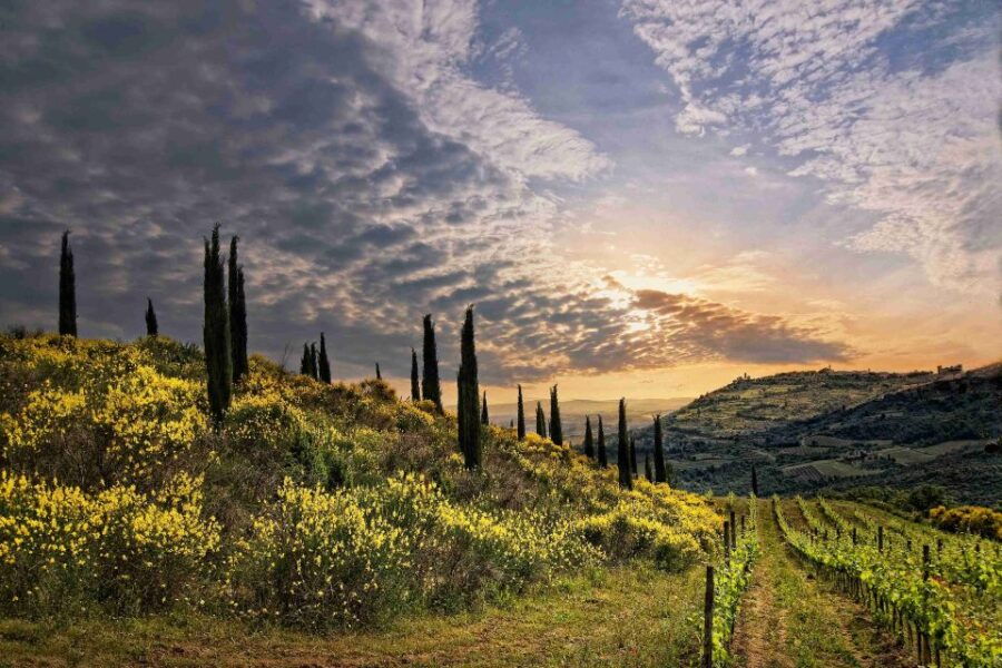 Rome to Tuscany: Private Chauffeur Transfer - Service Details