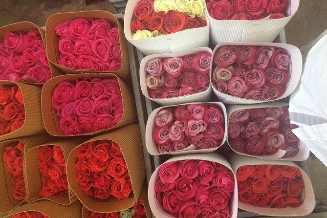 Roses & Horseback Riding (Private Day Trip From Quito) - Trip Highlights