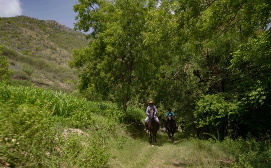 Rural Trail On Marwari Horseback At Private Ranch in 12Acres